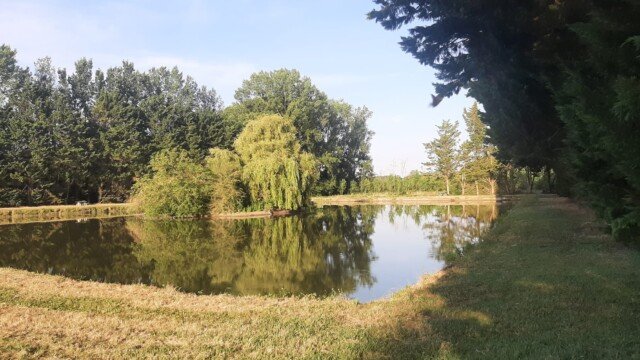 Etang lumière du matin