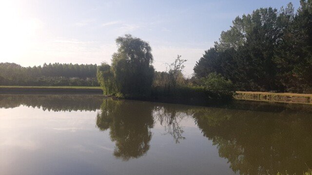 Etang le matin